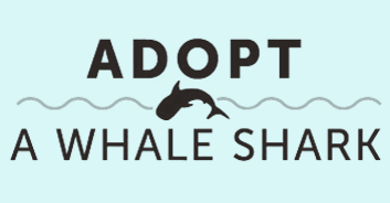 Adopt A Whale Shark